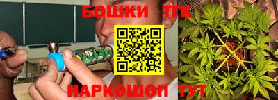 крисы Новозыбков