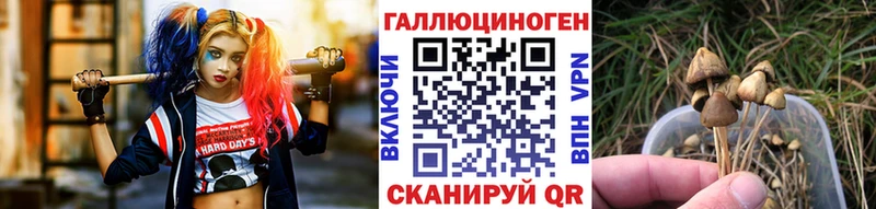 Псилоцибиновые грибы прущие грибы  наркота  Вологда 