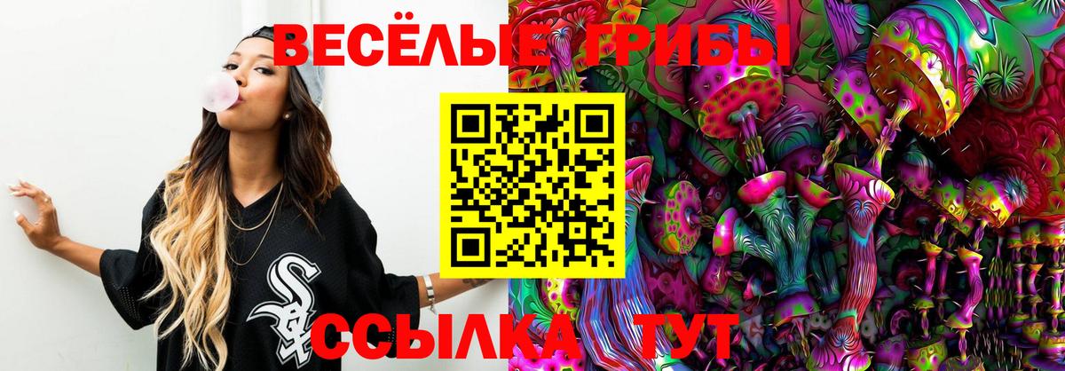 Псилоцибиновые грибы Magic Shrooms  как найти закладки  Вход с VPN  Вологда  Псилоцибиновые грибы MAGIC MUSHROOMS 