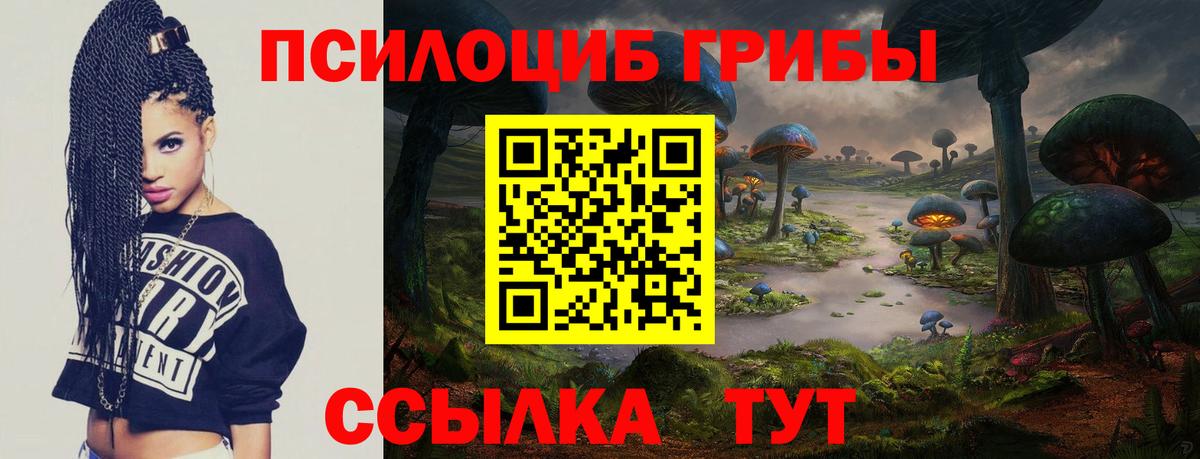 Вологда  Псилоцибиновые грибы ЛСД  цены наркотик  Вход с VPN 