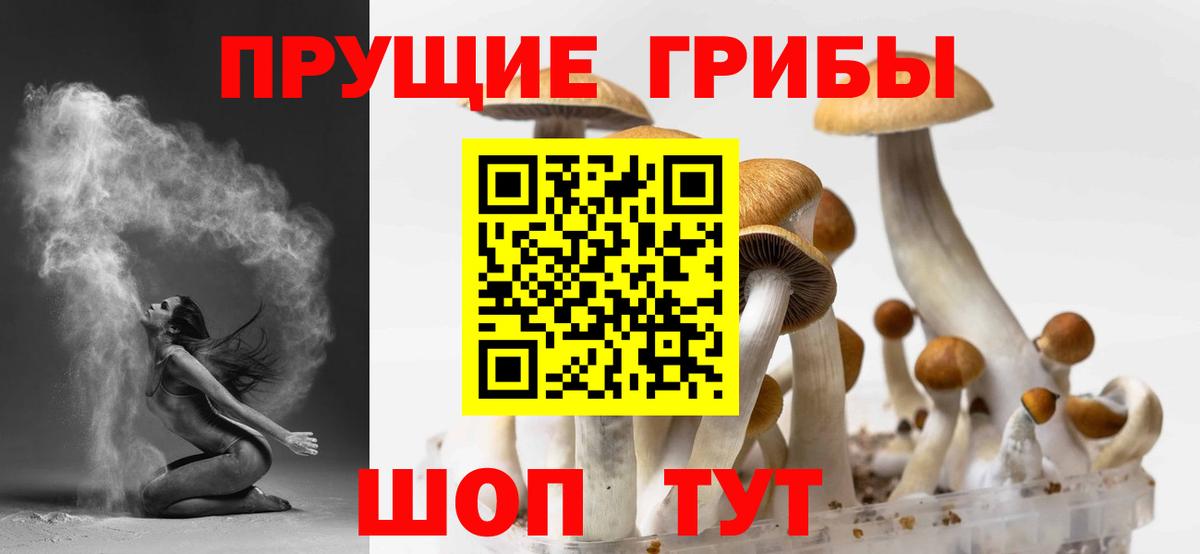 Галлюциногенные грибы прущие грибы Вологда